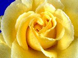 Treasury of Prayers, Catholic inspirations, meditations, reflexions - Prayer to the Holy Ghost                          