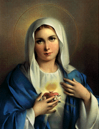 Treasury of Prayers, Catholic inspirations, meditations, reflexions - The Hail Mary - meditated                         