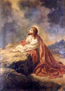 Holy Rosary First sorrowful Mystery - Agony of Jesus in the Garden of Gethsemane - Not my will but your will be done.