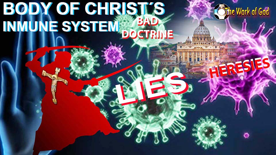 The Body of Christs Immune System. Catholic, defend Your Church