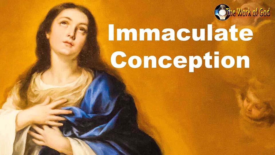 Immaculate Conception - The blessed Virgin Mary