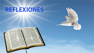 Reflexiones espirituales catlicas Jos Belmore