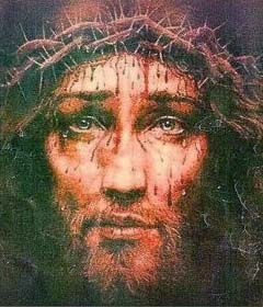Holy Wounds, Litany of Mercy through the merits of Jesus wounds, examination of conscience